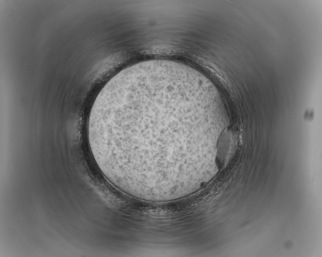 X0000094450735200711291658