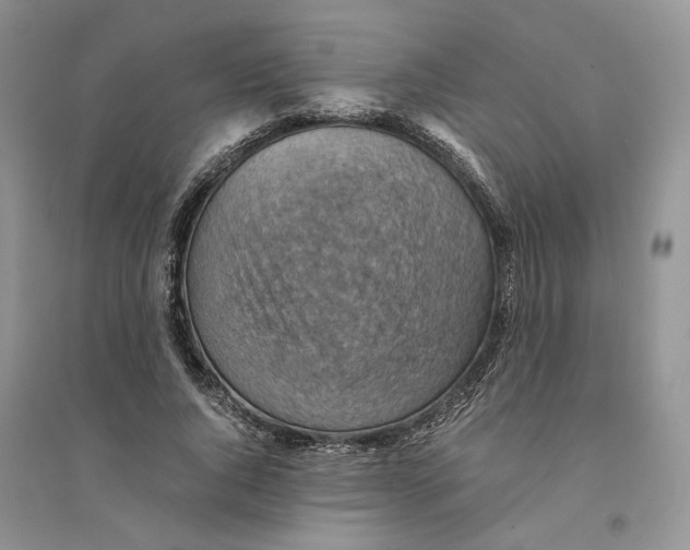 X0000094450736200711291658