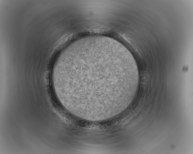 X0000094450738200711291658