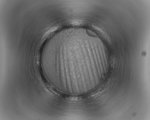 X0000094450740200711291658