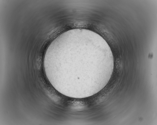 X0000094450741200711291658