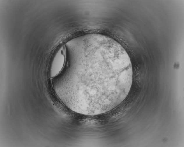 X0000094450742200711291658