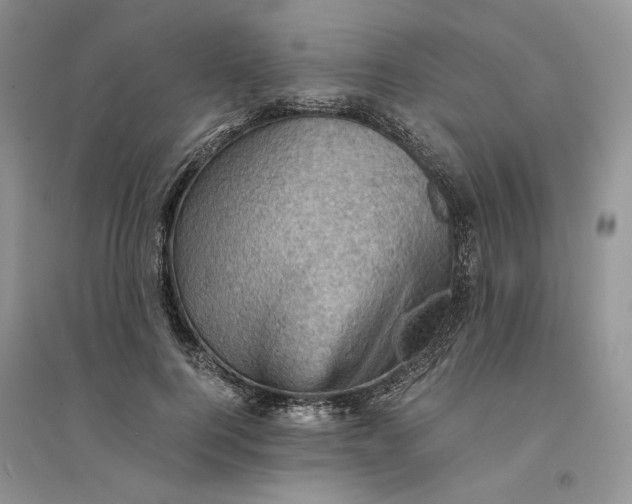 X0000094450744200711291658