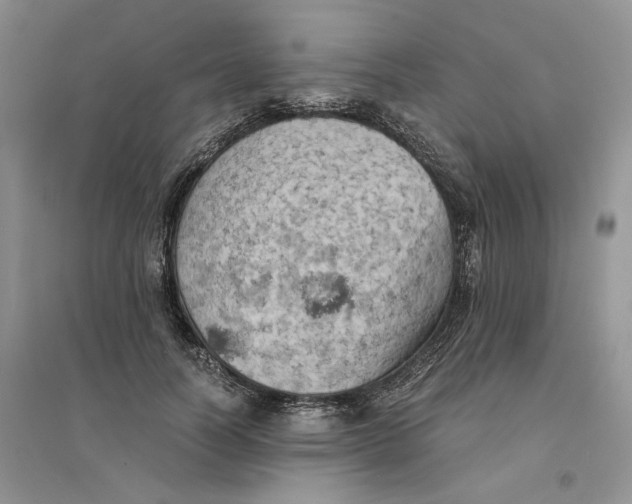 X0000094450746200711291658