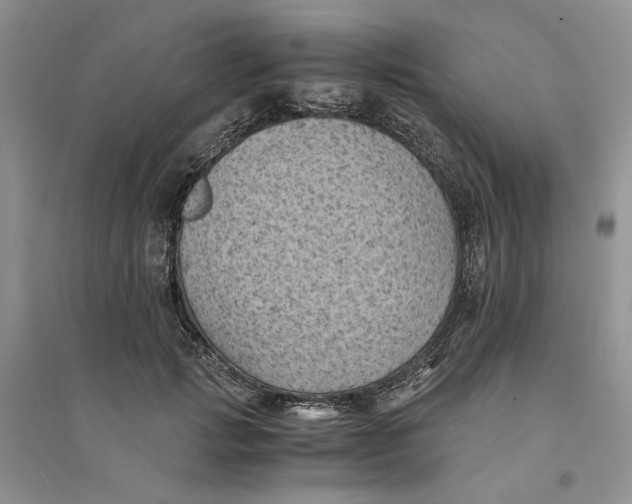 X0000094450749200711291658