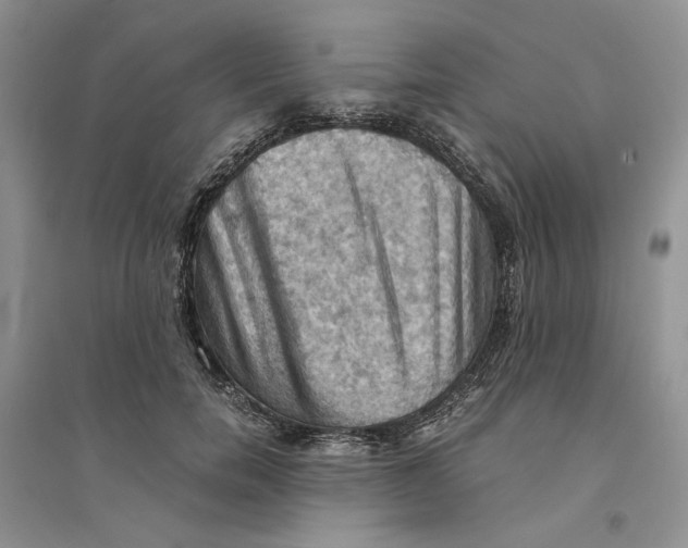 X0000094450750200711291658