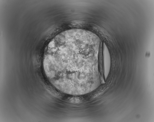 X0000094450751200711291658