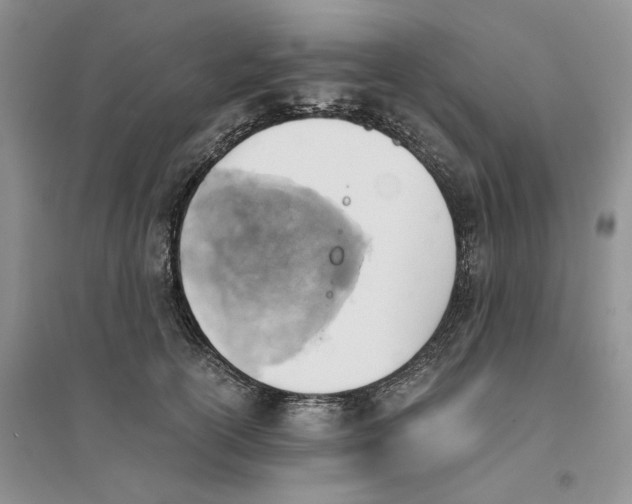 X0000094450754200711291659