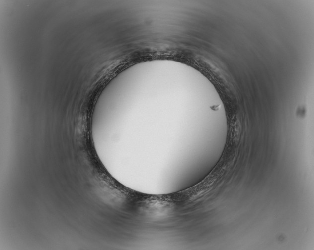 X0000094450756200711291659