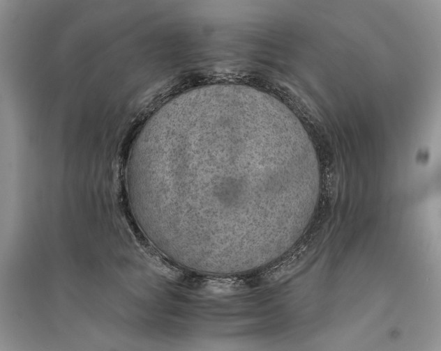 X0000094450757200711291659