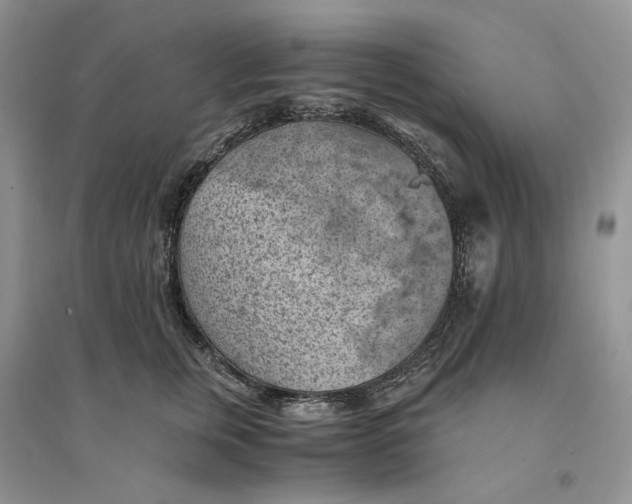 X0000094450759200711291659