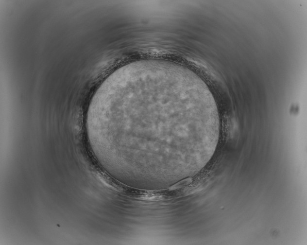 X0000094450760200711291659