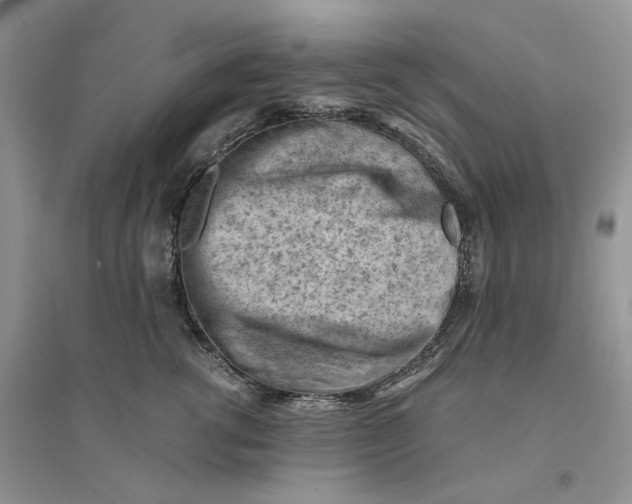 X0000094450762200711291659