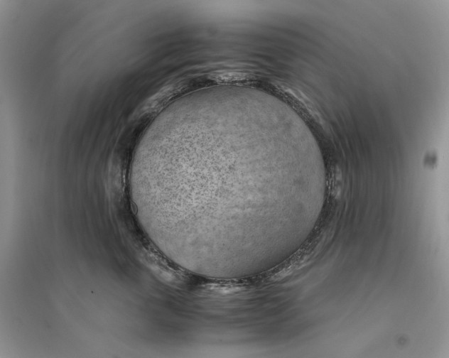 X0000094450763200711291659