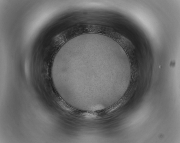 X0000094450765200711291659