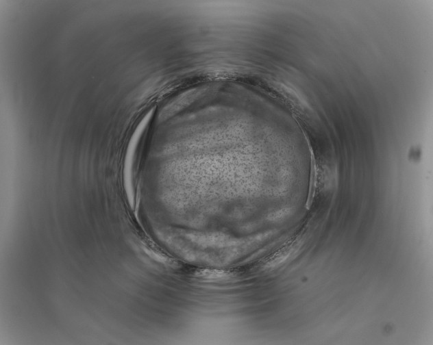 X0000094450766200711291659