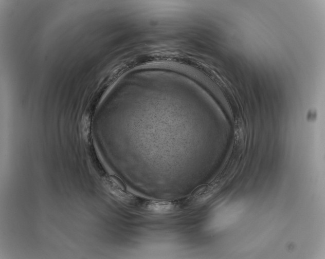 X0000094450767200711291659