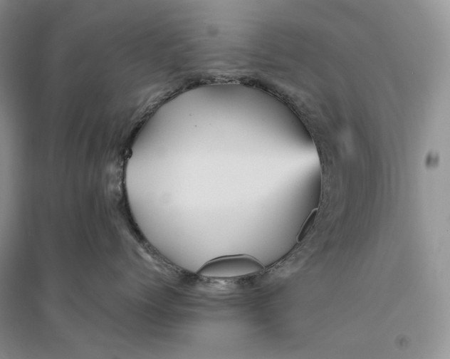 X0000094450768200711291659