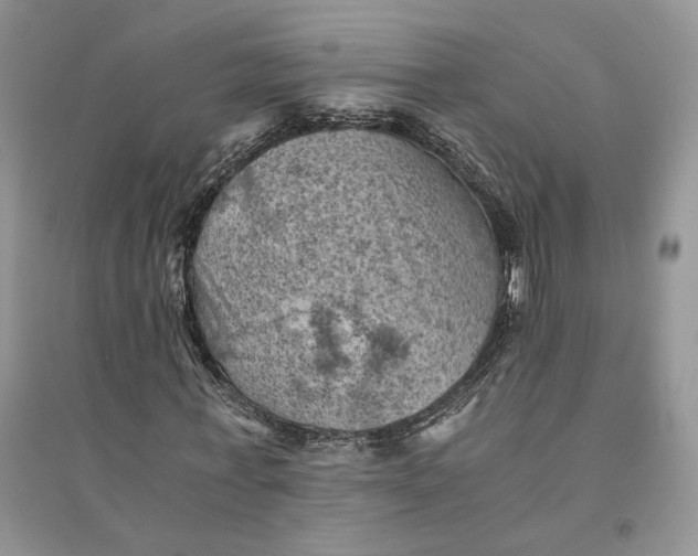 X0000094450771200711291658