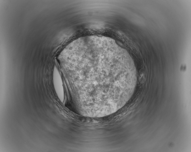 X0000094450772200711291658