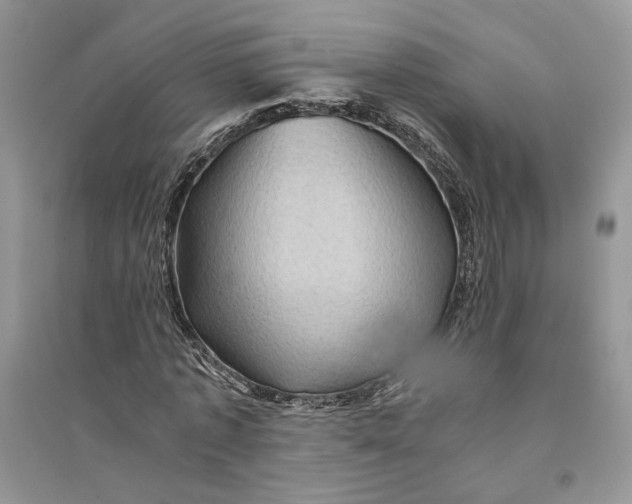 X0000094450773200711291658