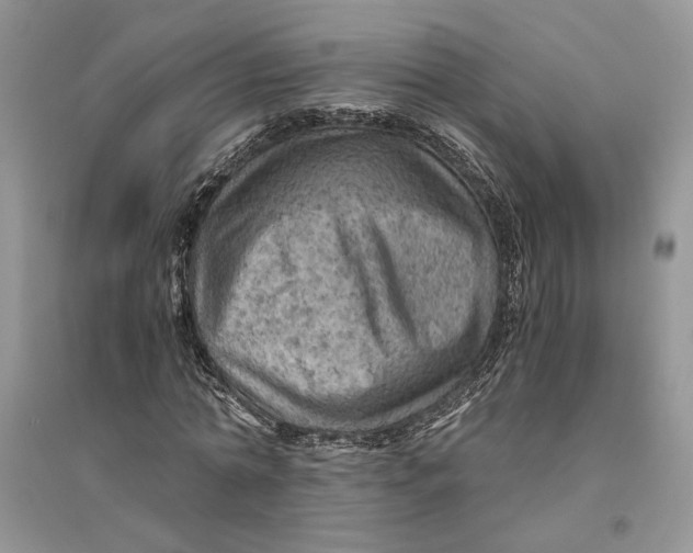 X0000094450774200711291658