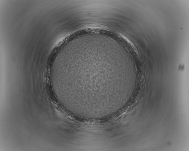 X0000094450775200711291658