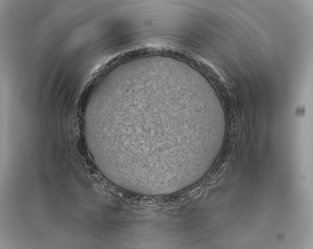 X0000094450776200711291658