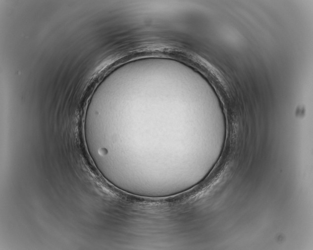 X0000094450778200711291658