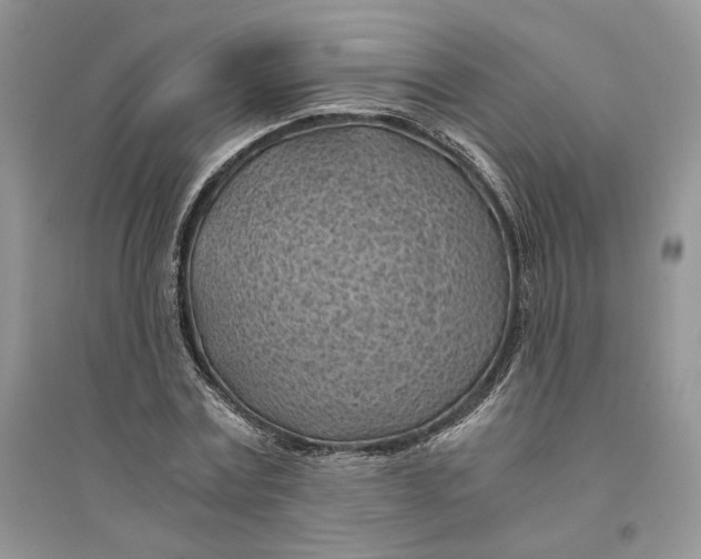 X0000094450779200711291658