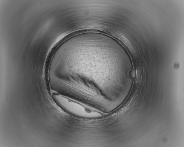 X0000094450780200711291658