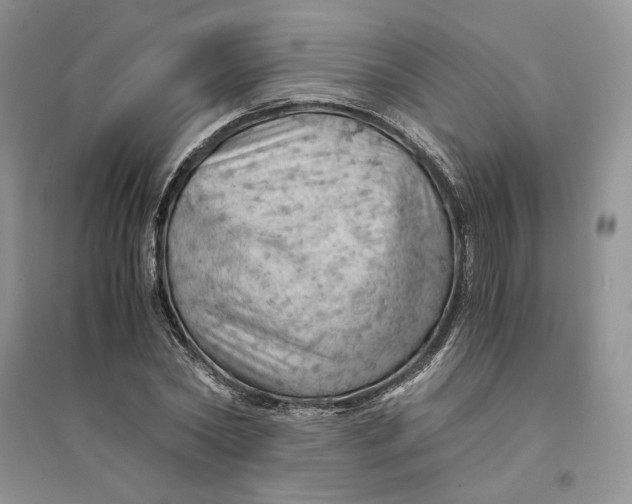 X0000094450782200711291658