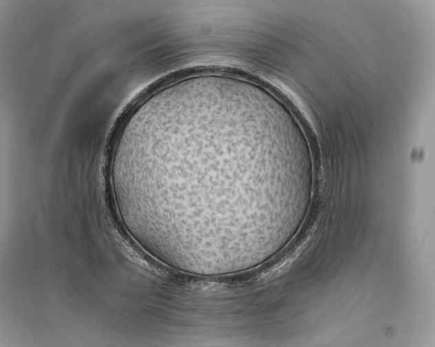 X0000094450783200711291658