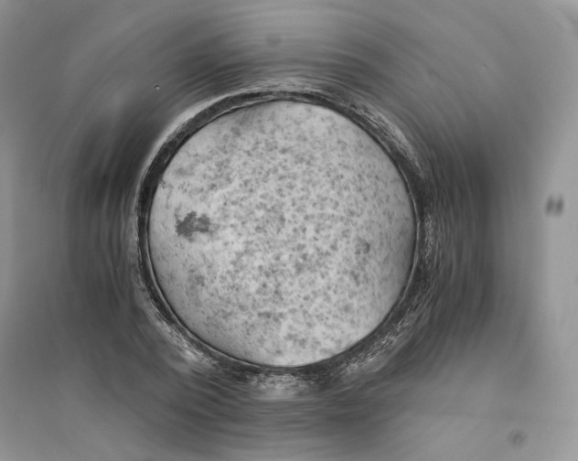 X0000094450784200711291658