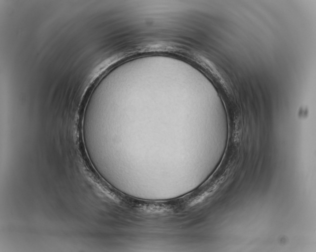 X0000094450786200711291658