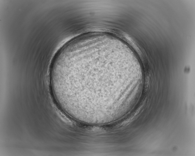 X0000094450787200711291658