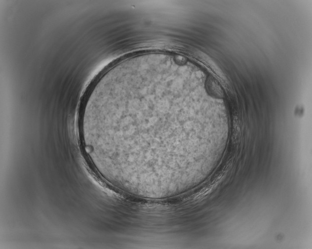 X0000094450788200711291658