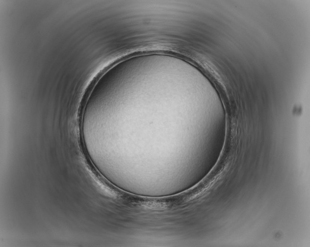 X0000094450789200711291658