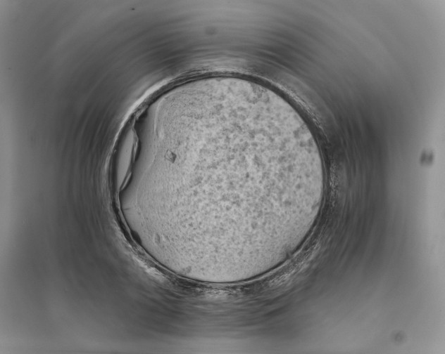 X0000094450790200711291658