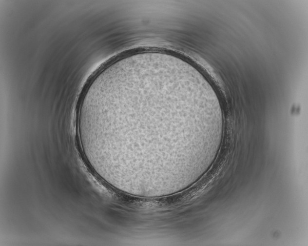 X0000094450791200711291658