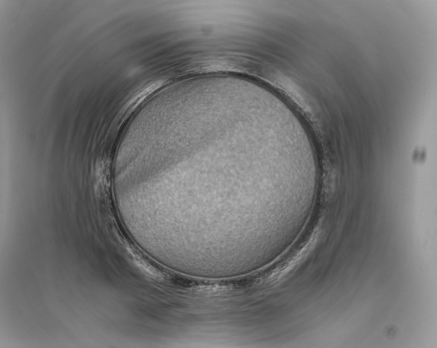 X0000094450793200711291658