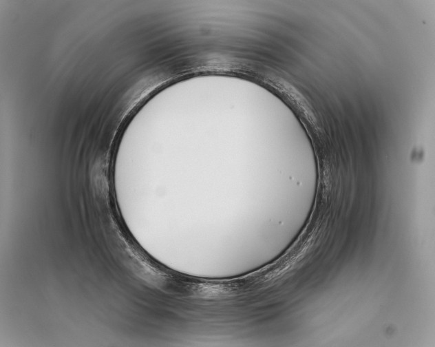 X0000094450794200711291658