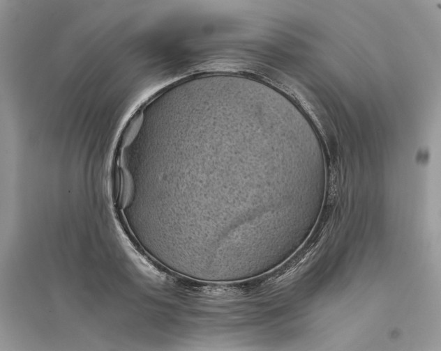 X0000094450795200711291658