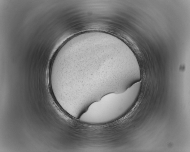 X0000094450796200711291658