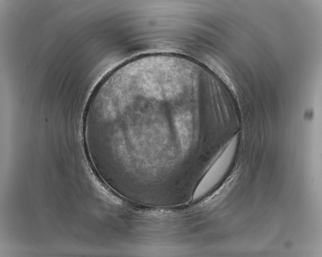 X0000094450797200711291658