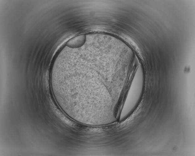 X0000094450798200711291658