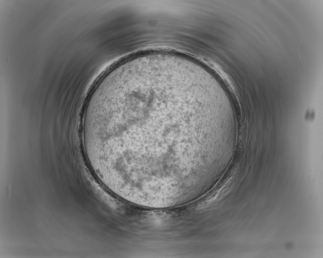 X0000094450799200711291658