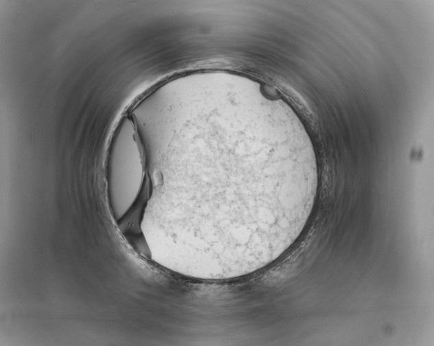 X0000094450800200711291658