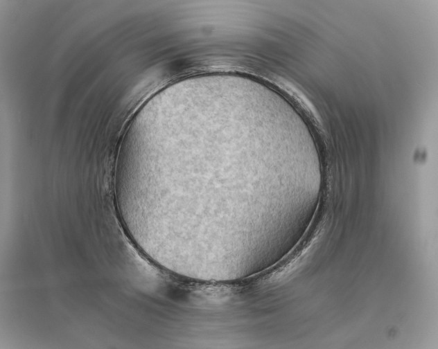 X0000094450801200711291658