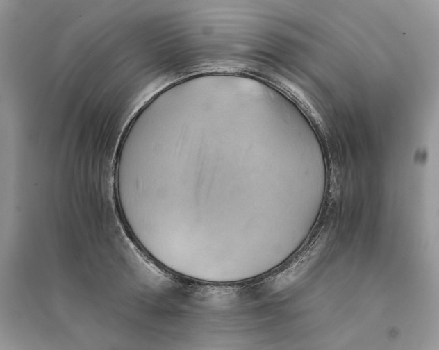 X0000094450802200711291658